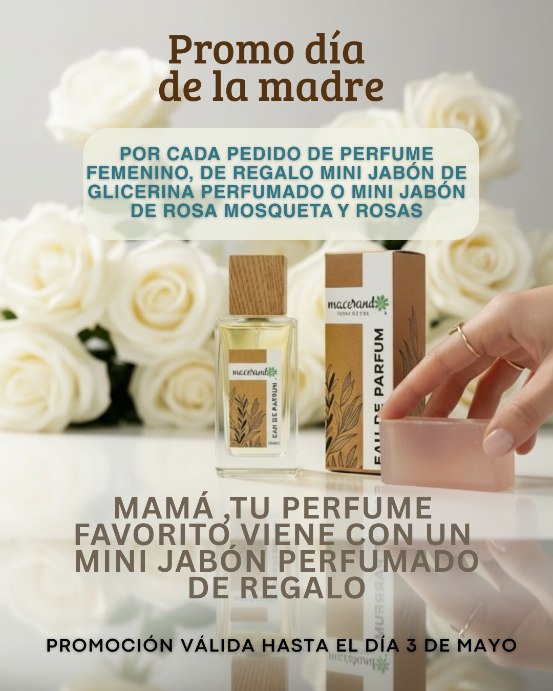 BANNER DIA DE LA MADRE